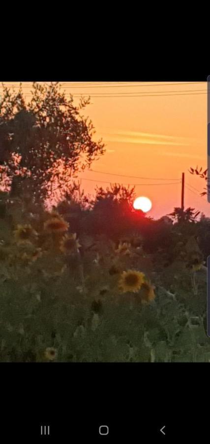 Trulli Selva e Natura Gio'.Ele Alberobello Esterno foto
